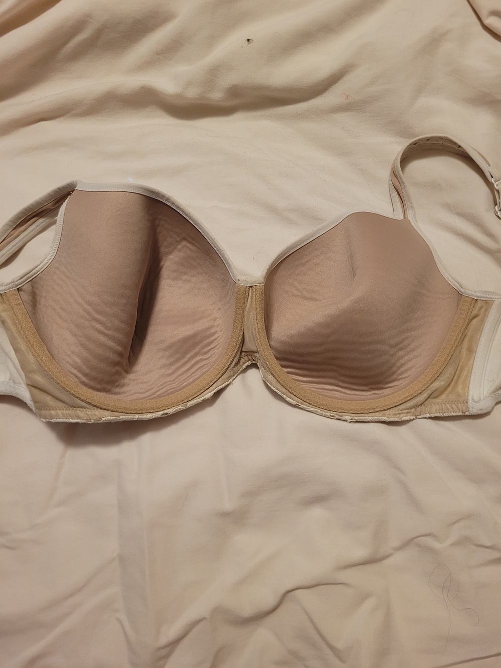 Cacique Lace Full-Coverage Bra in Cream - Picture 2 of 4